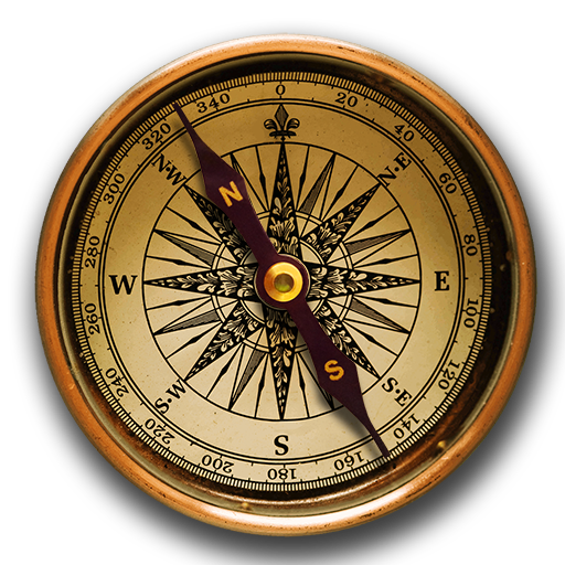 Magnetic compass