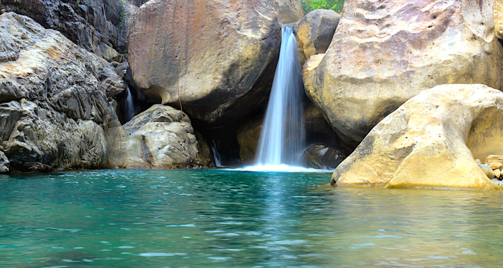 Natural swimming pool