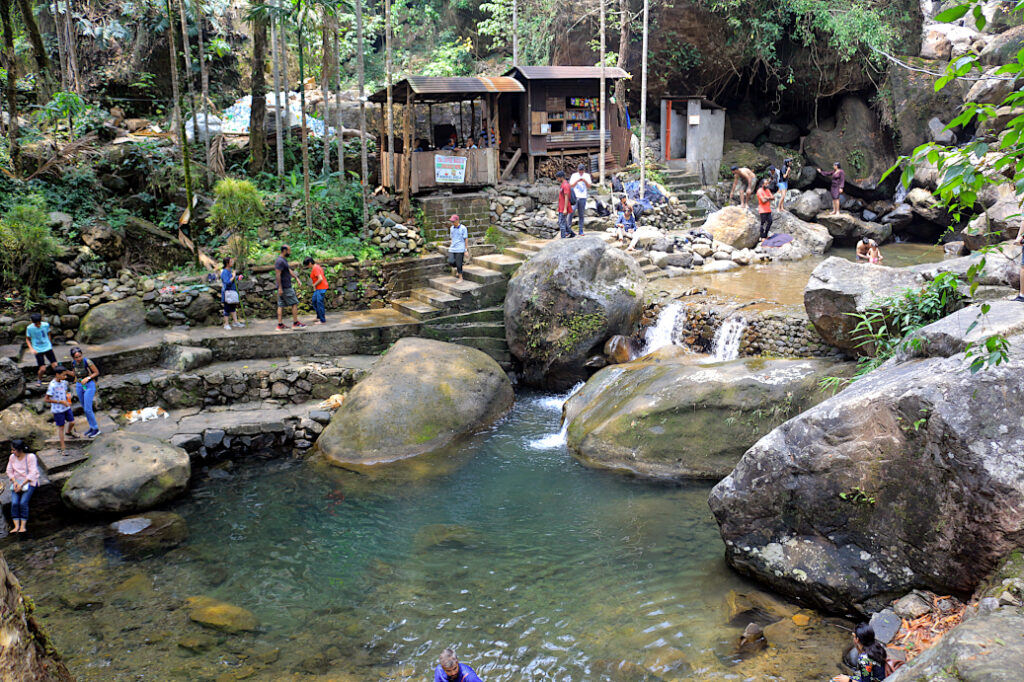 Root bridge pool