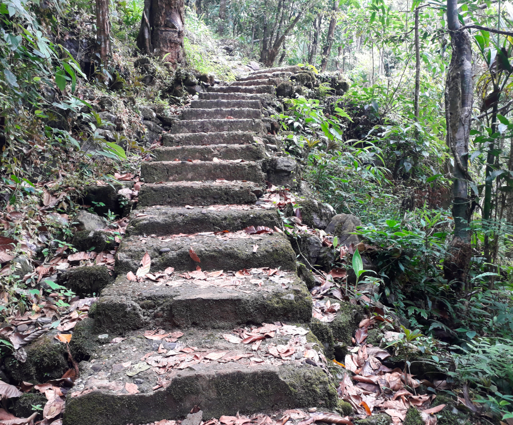 Step down to root bridge