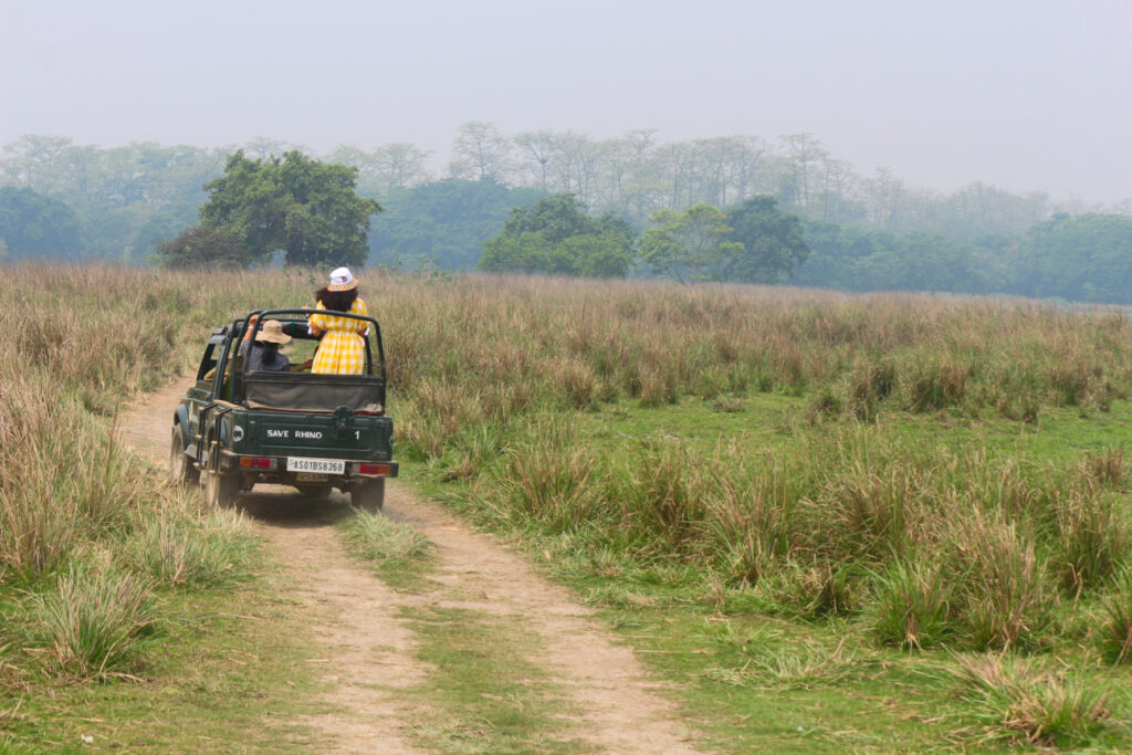 Jeep safari in Kaziranga